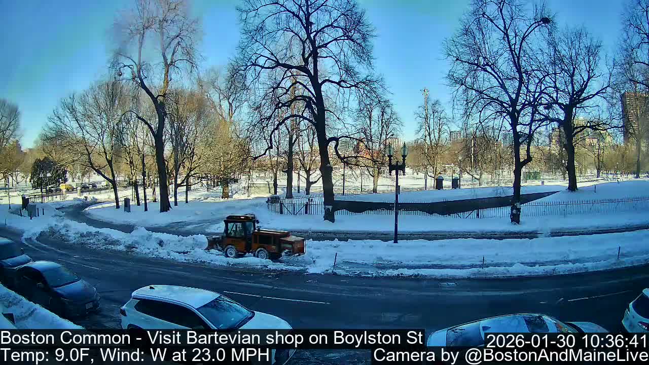 Boston Common at Boylston St.  Live Cam  - Boston , Massachusetts, USA