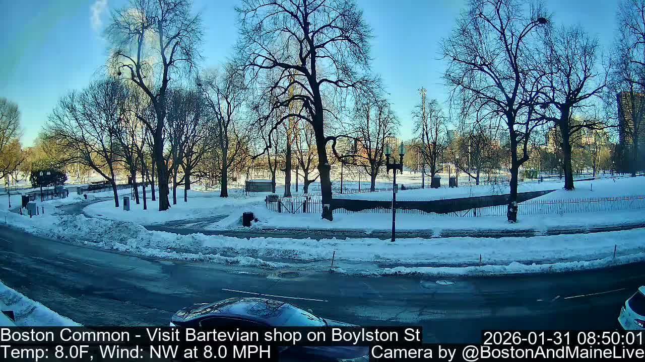 Boston Common at Boylston St.  Live Cam  - Boston , Massachusetts, USA