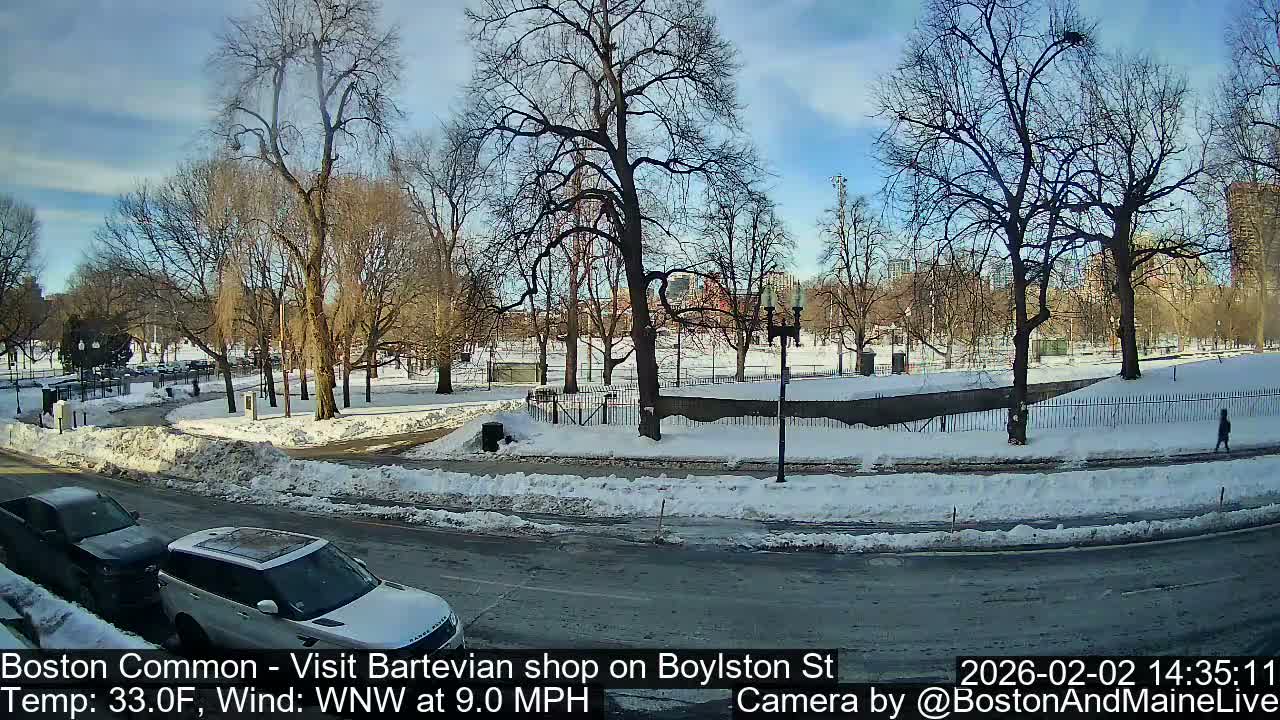 Boston Common at Boylston St.  Live Cam  - Boston , Massachusetts, USA