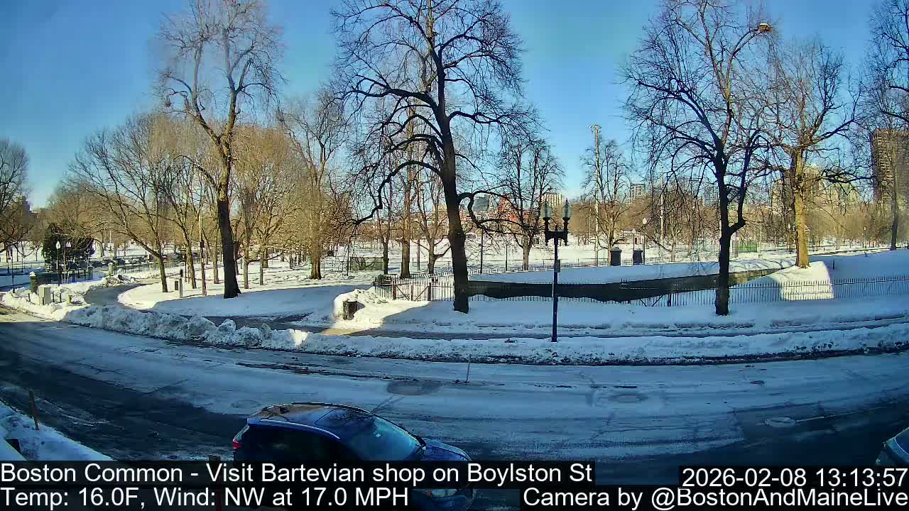 Boston Common at Boylston St.  Live Cam  - Boston , Massachusetts, USA