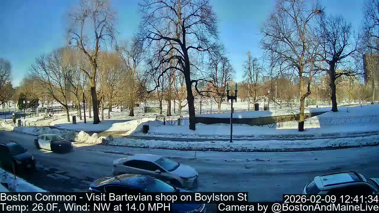 Boston Common at Boylston St.  Live Cam  - Boston , Massachusetts, USA