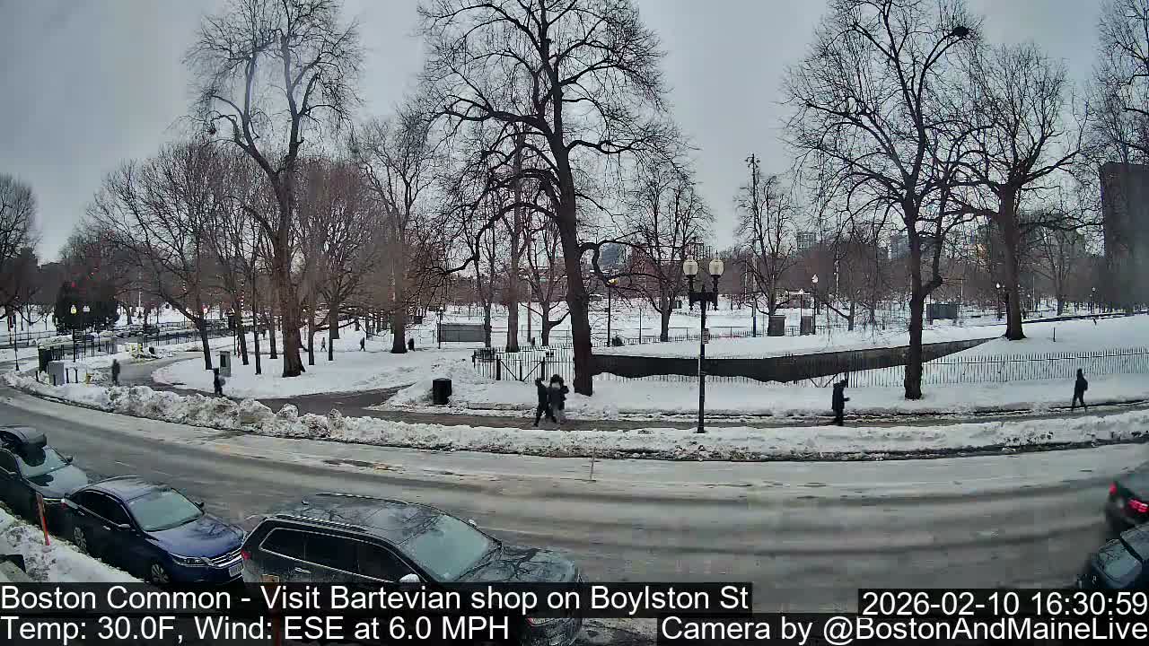 Boston Common at Boylston St.  Live Cam  - Boston , Massachusetts, USA