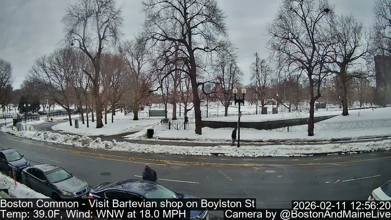 Boston Common at Boylston St.  Live Cam  - Boston , Massachusetts, USA