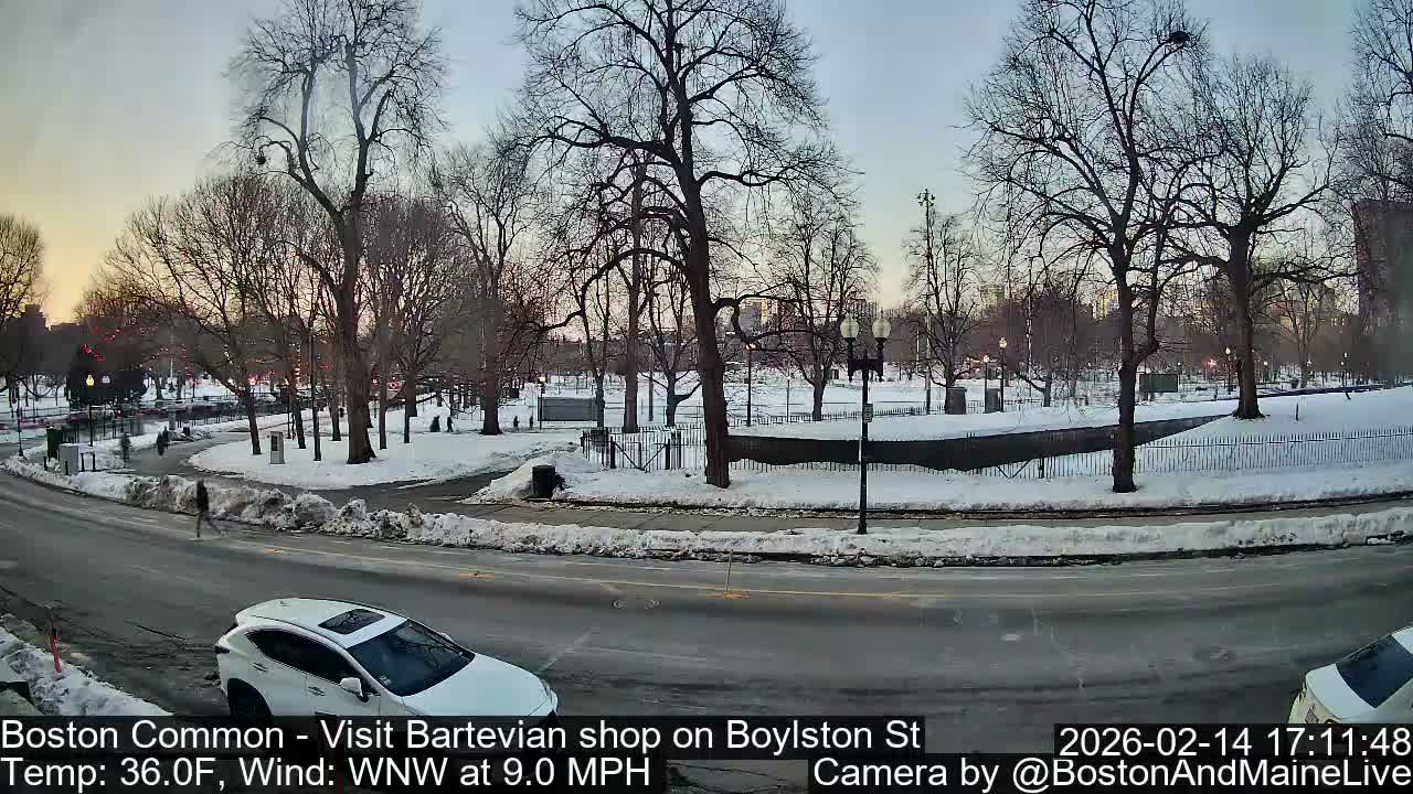 Boston Common at Boylston St.  Live Cam  - Boston , Massachusetts, USA