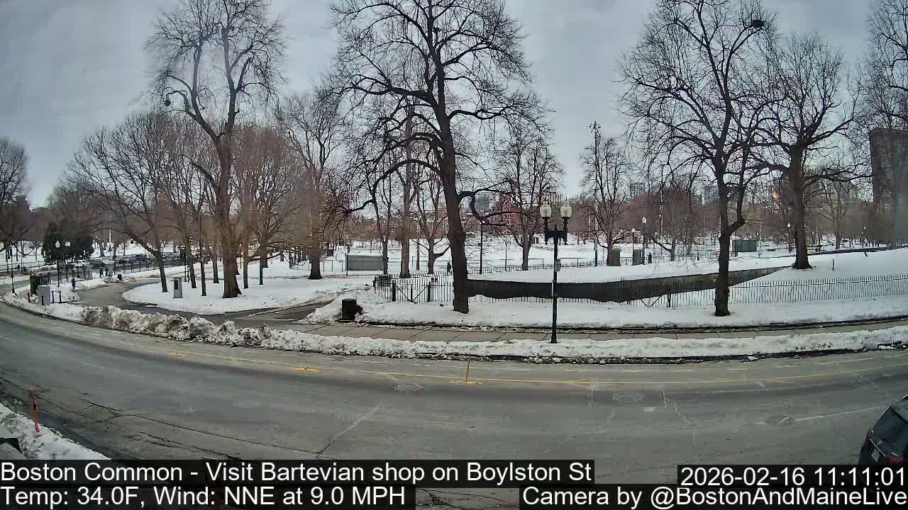 Boston Common at Boylston St.  Live Cam  - Boston , Massachusetts, USA