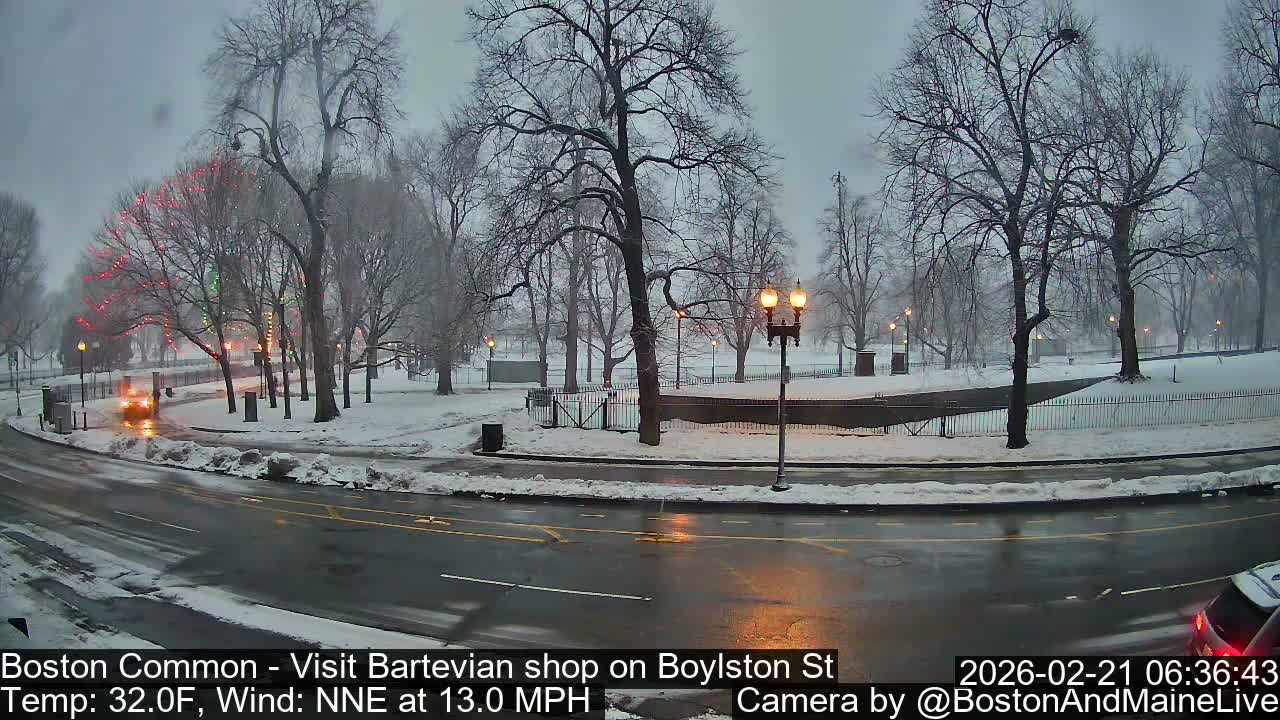 Boston Common at Boylston St.  Live Cam  - Boston , Massachusetts, USA