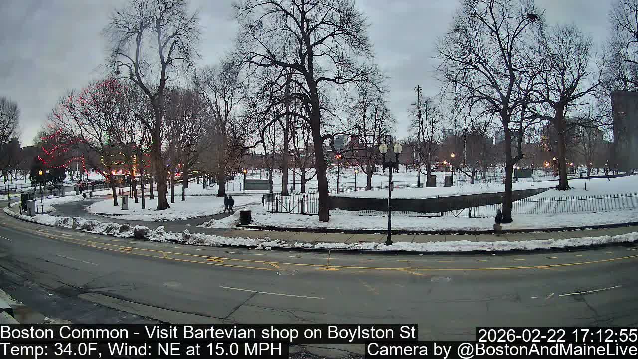 Boston Common at Boylston St.  Live Cam  - Boston , Massachusetts, USA