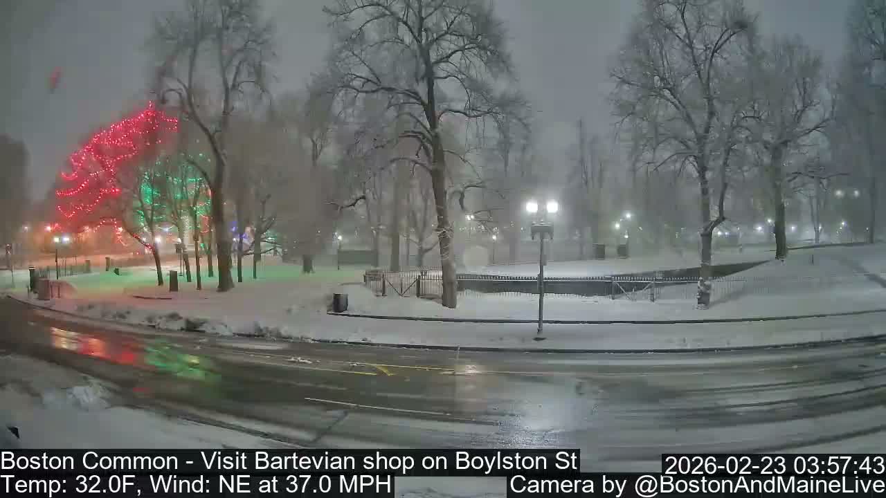 Boston Common at Boylston St.  Live Cam  - Boston , Massachusetts, USA