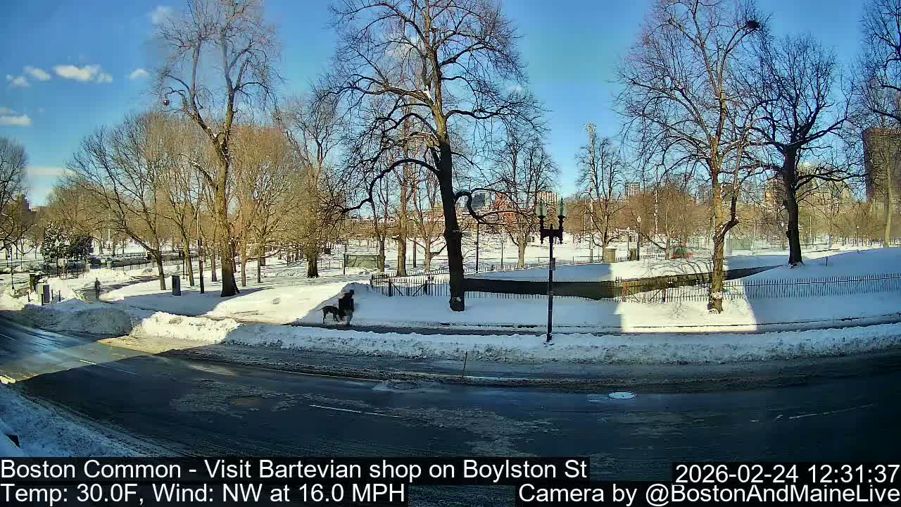 Boston Common at Boylston St.  Live Cam  - Boston , Massachusetts, USA