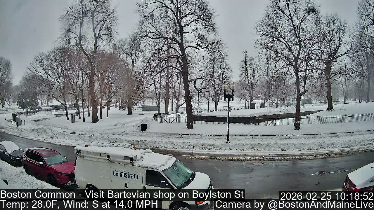 Boston Common at Boylston St.  Live Cam  - Boston , Massachusetts, USA