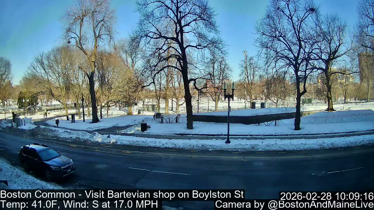 Boston Common at Boylston St.  Live Cam  - Boston , Massachusetts, USA