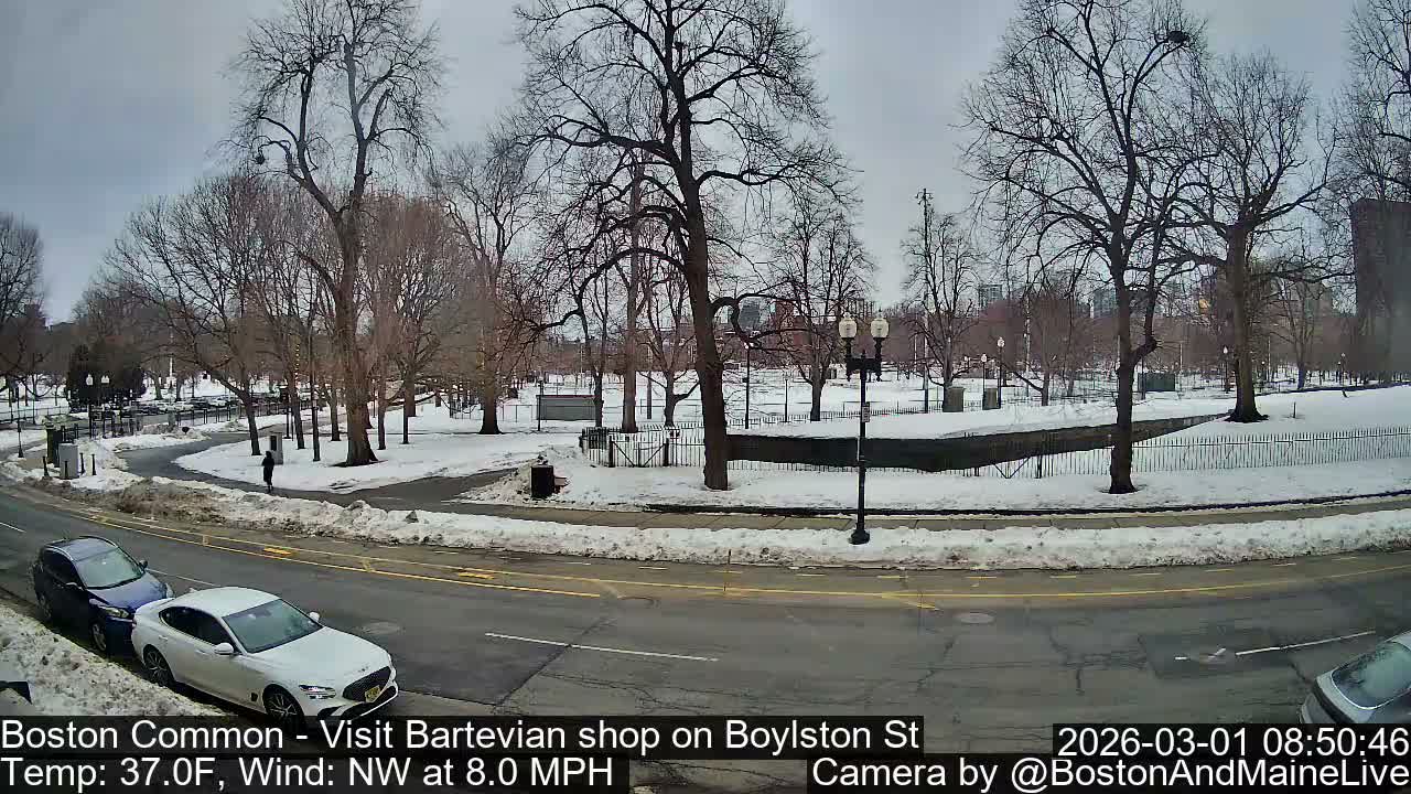 Boston Common at Boylston St.  Live Cam  - Boston , Massachusetts, USA
