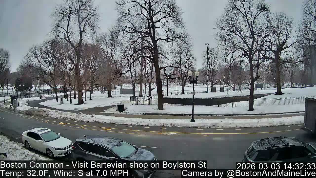 Boston Common at Boylston St.  Live Cam  - Boston , Massachusetts, USA