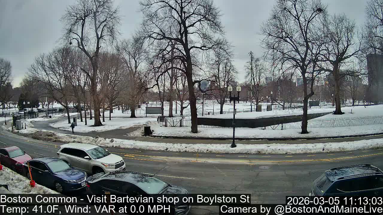 Boston Common at Boylston St.  Live Cam  - Boston , Massachusetts, USA