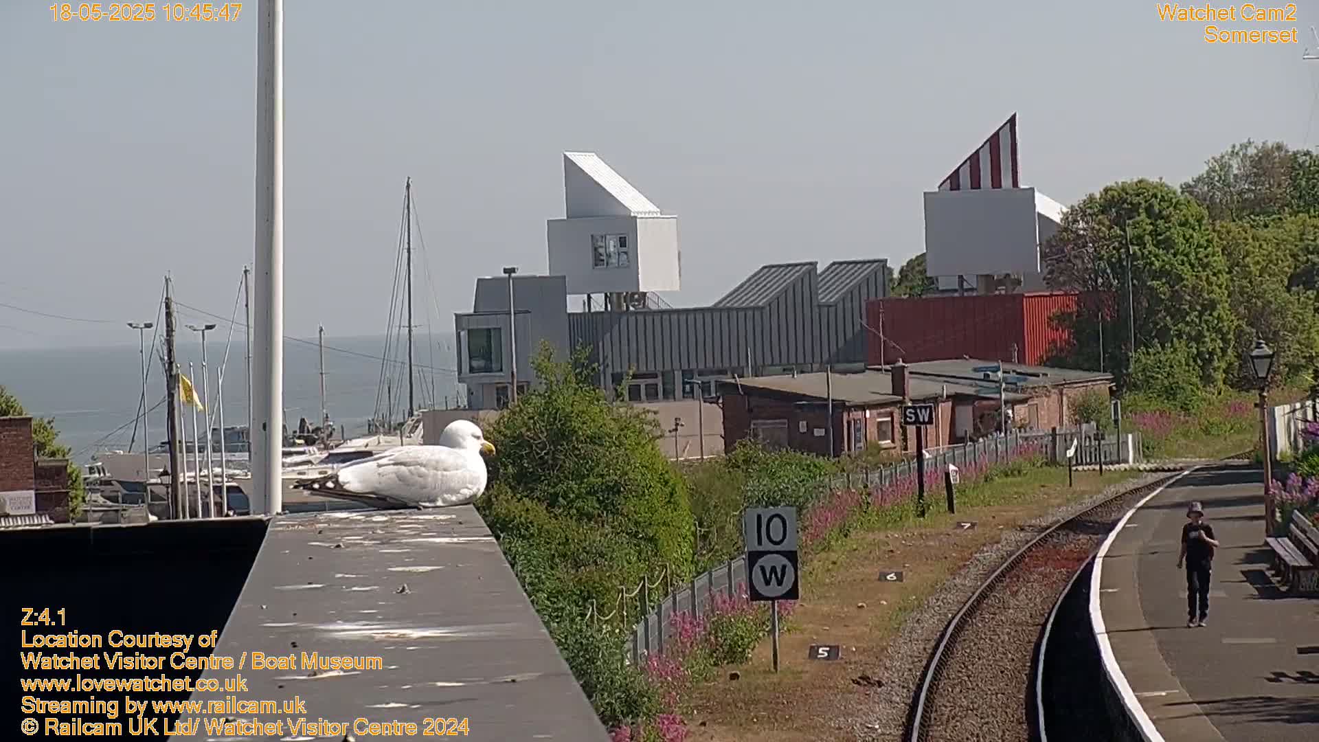 A white seagull perches on a wall overlooking a harbor with boats, modern buildings, and a railway track under a sunny sky.