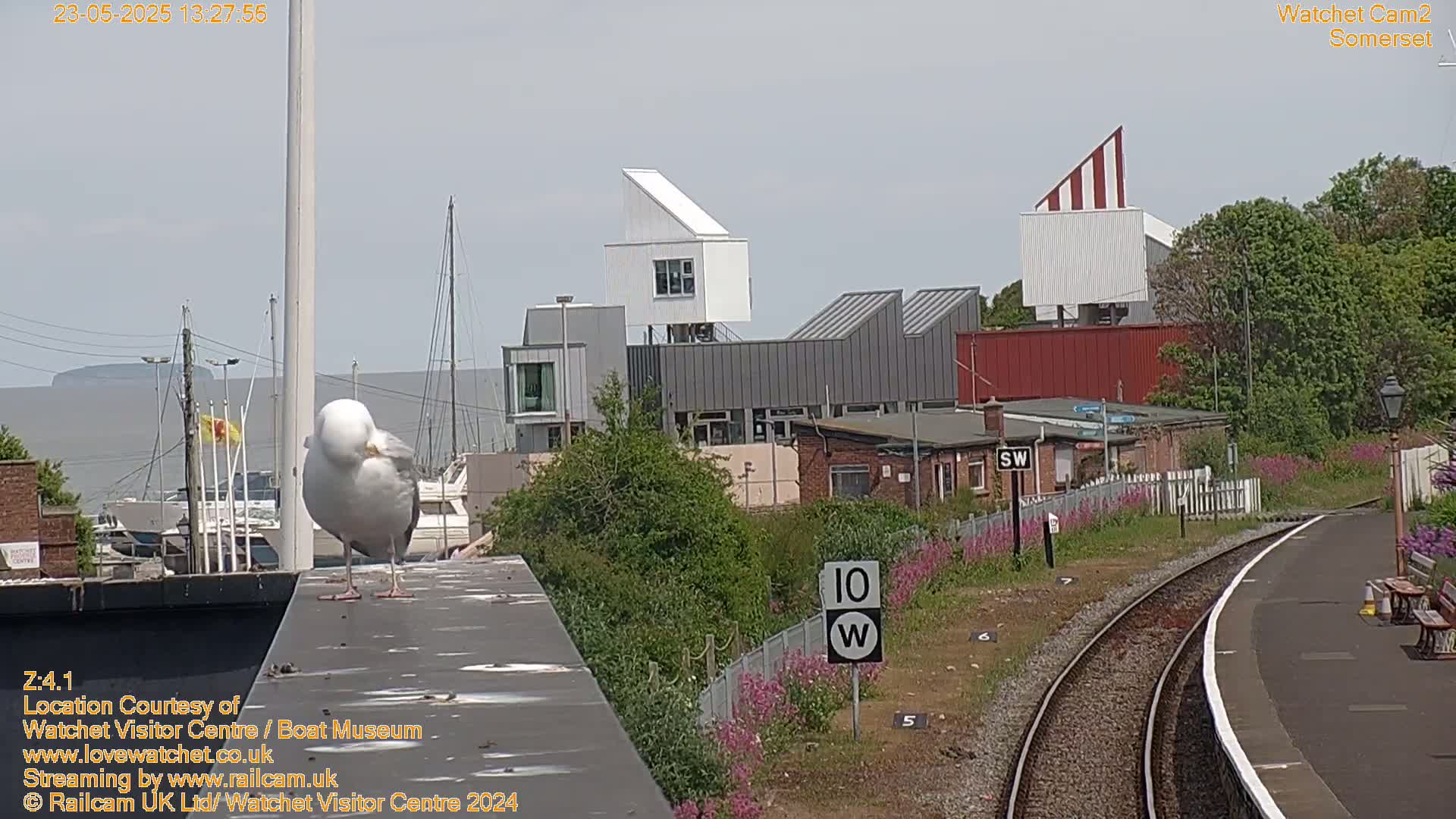 A seagull stands on a roof overlooking a harbor with boats, modern buildings, and a railway track under a partly cloudy sky.