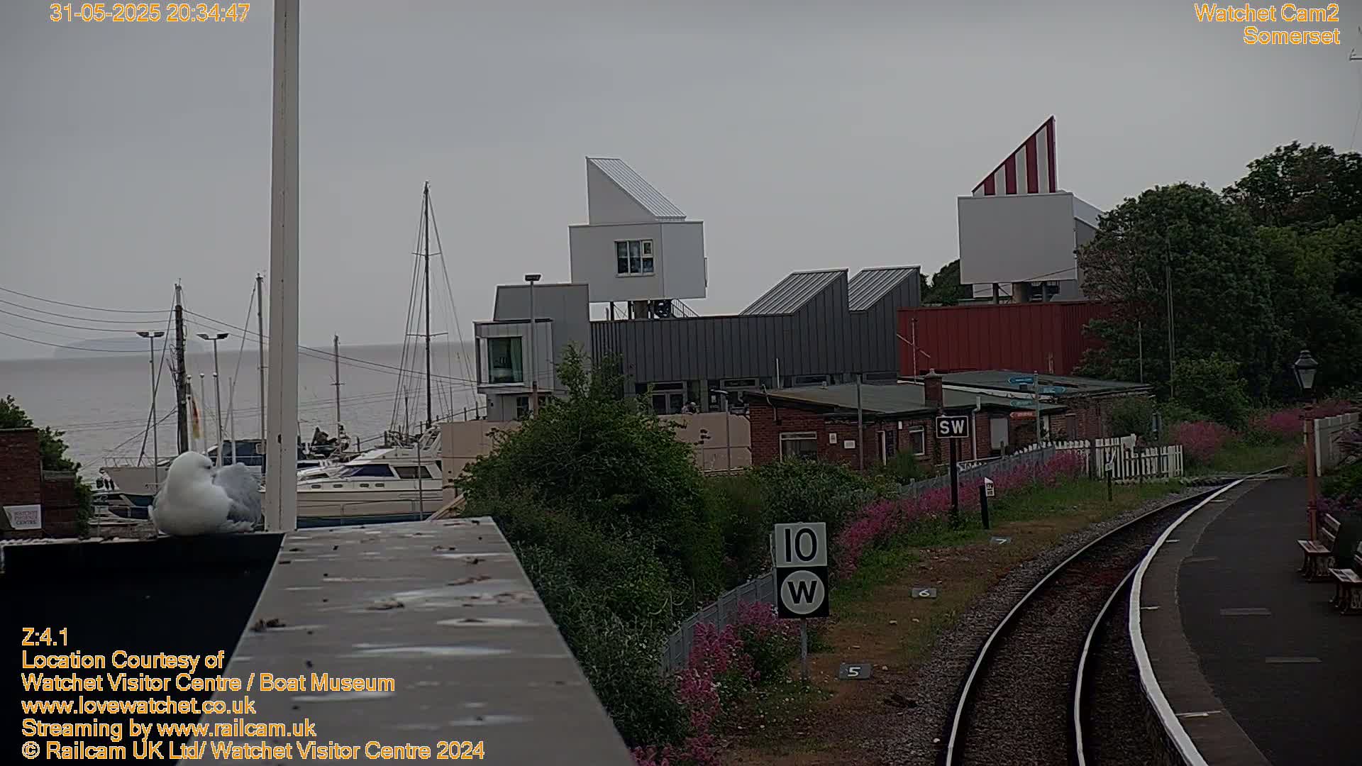 A seagull perches on a wall overlooking a harbor with moored boats, modern buildings, and a railway track under an overcast sky.