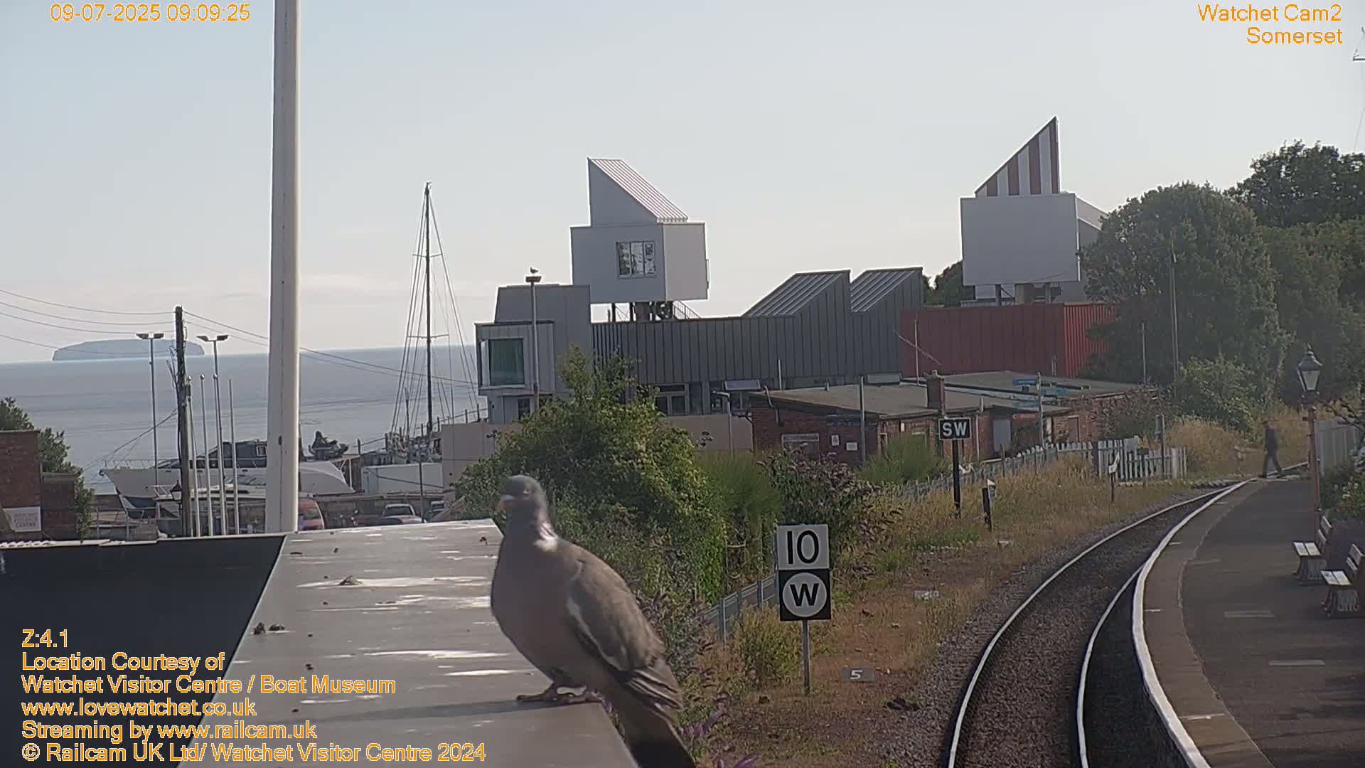 A pigeon perches on a rooftop overlooking a harbor with boats, modern buildings, and train tracks on a partly sunny day.