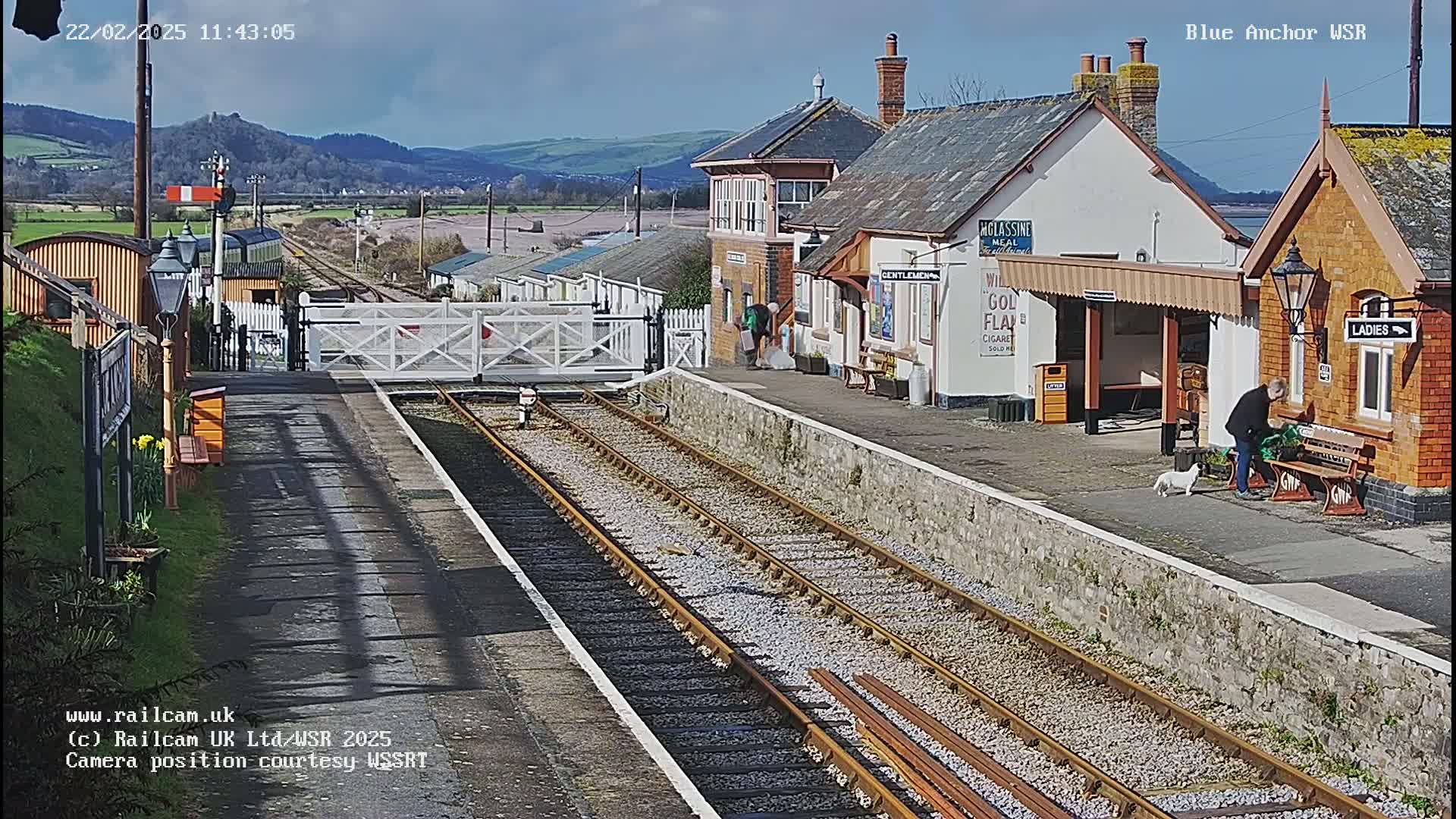 A sunny day at a train station with a small white dog near a person on a bench, railroad tracks extending into the distance, and low hills in the background.