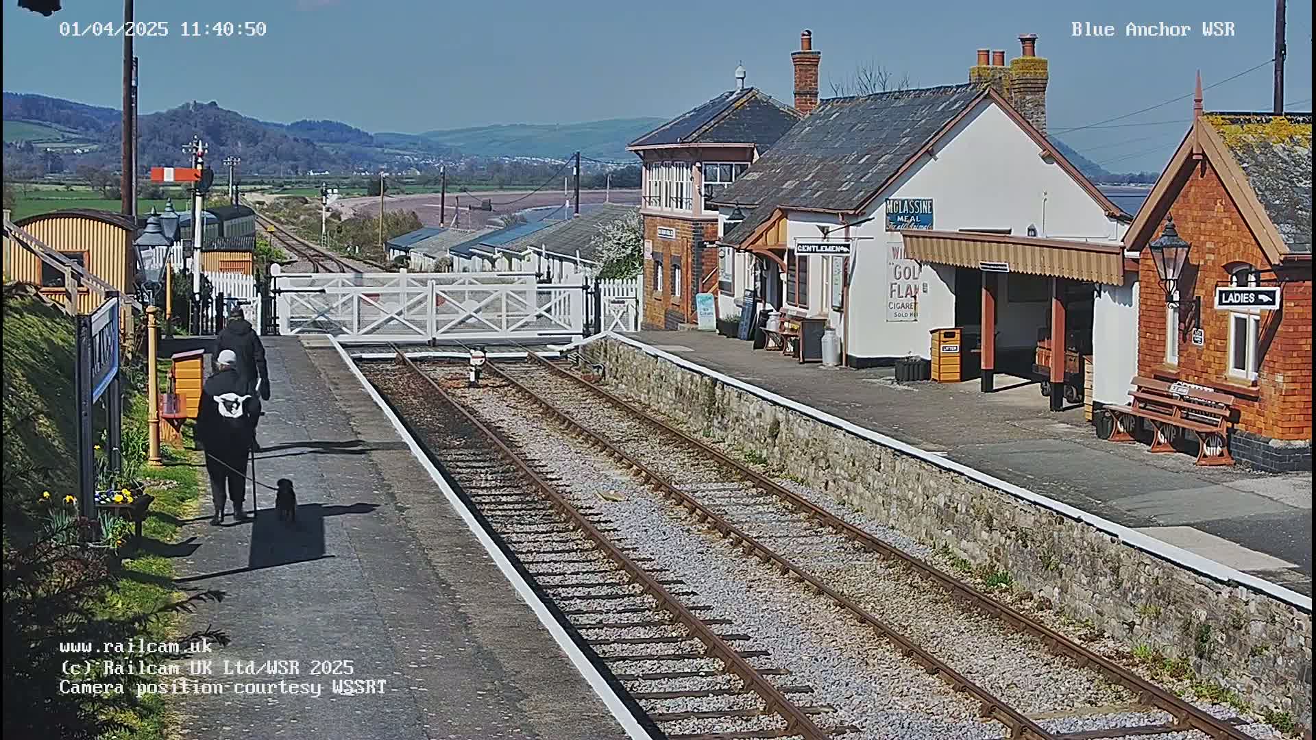 A person with a dog walks along a railway platform on a sunny day, with a train station and distant hills visible.