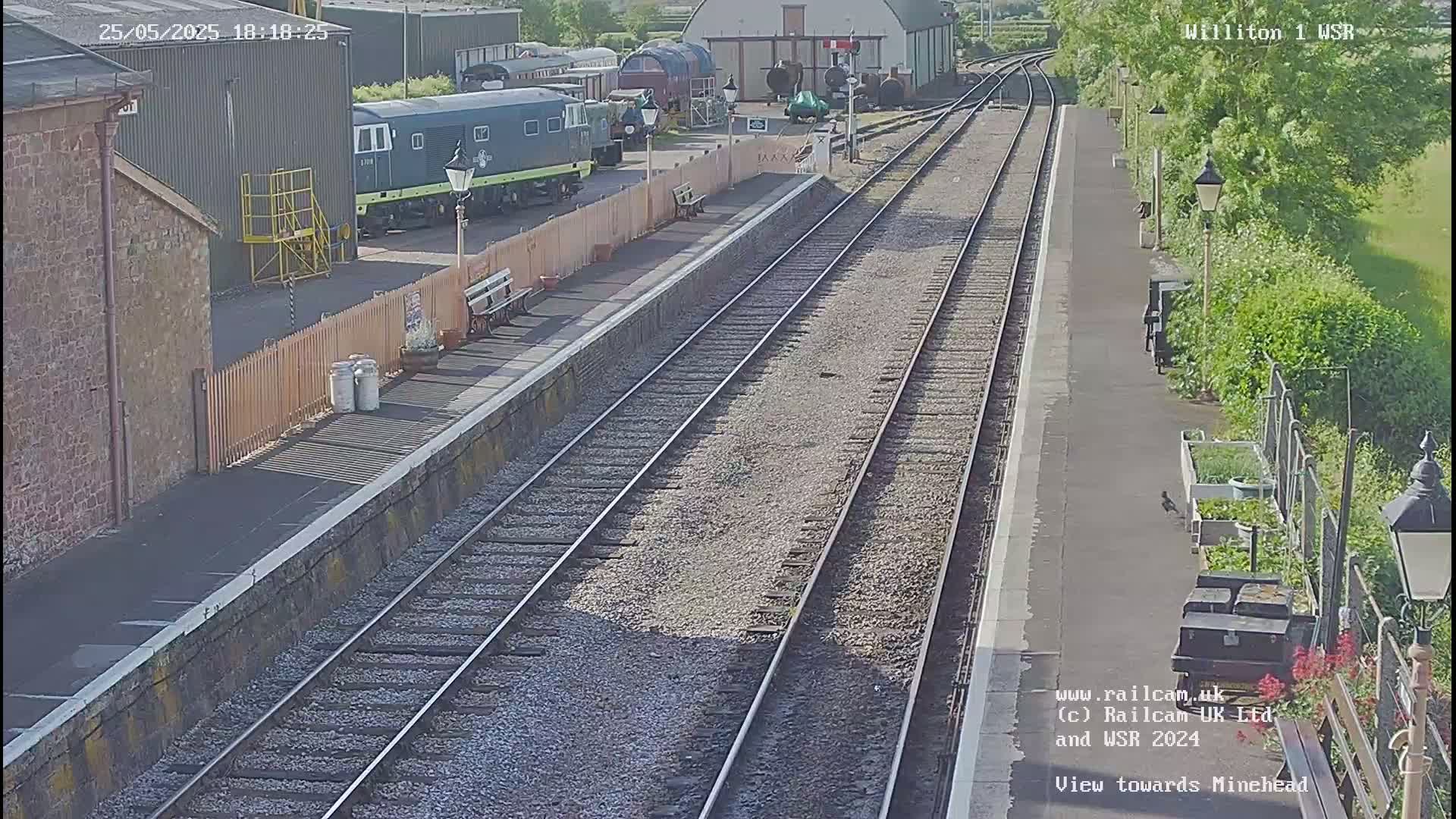 A sunny view of a train station platform with multiple train tracks, railway cars, and some surrounding buildings.