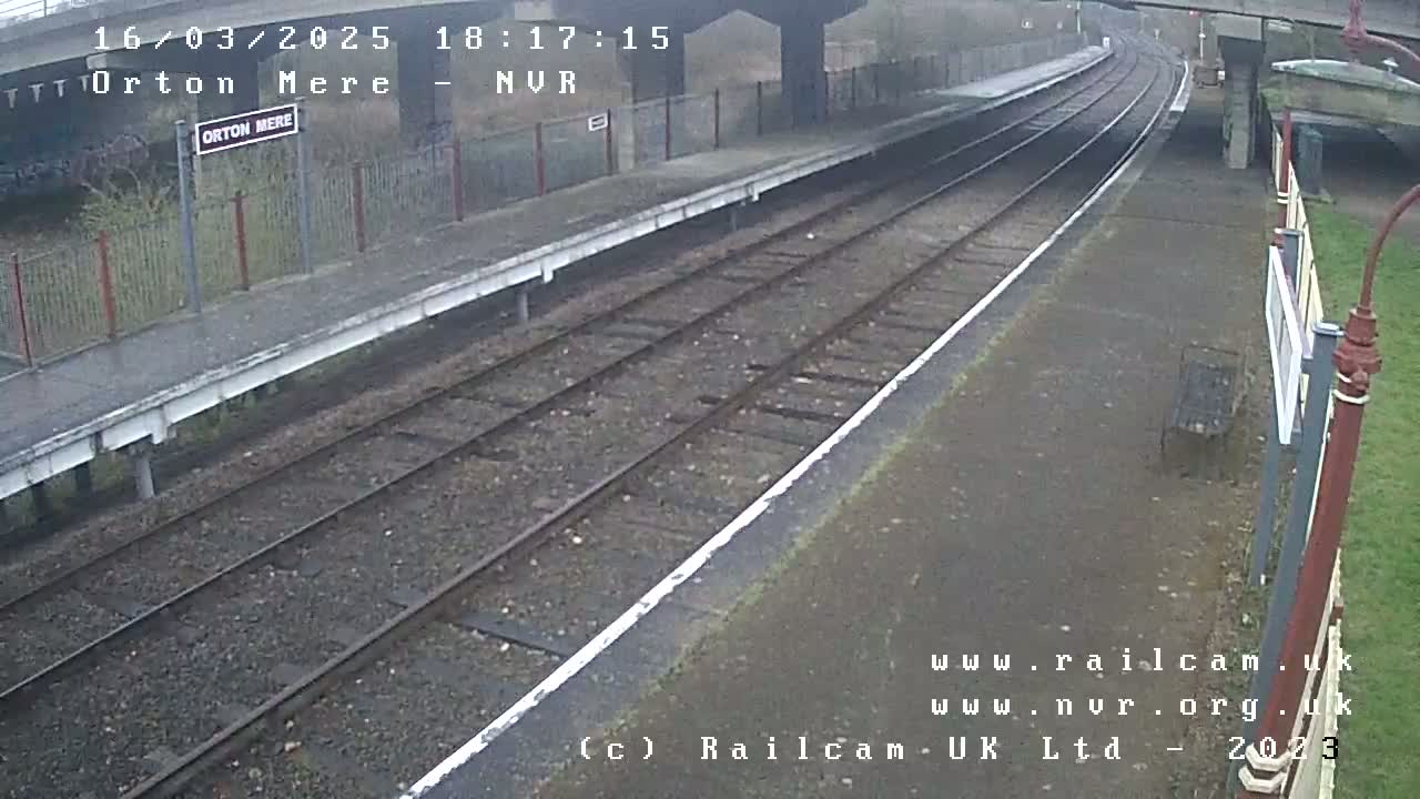 A rain-slicked railway platform and tracks are visible, with a partially visible bridge overhead and sparse vegetation in the background.