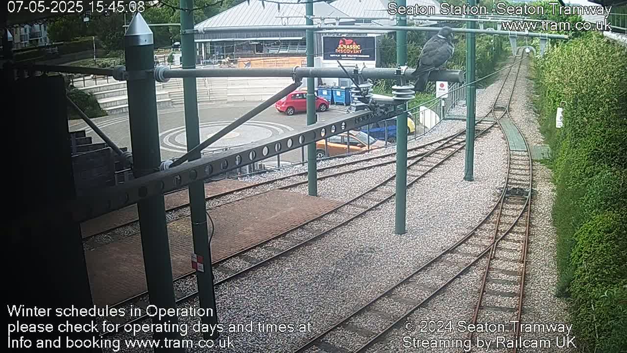 A bird perches on a metal post overlooking a tram station with several cars parked nearby and railway tracks curving away, under an overcast sky.