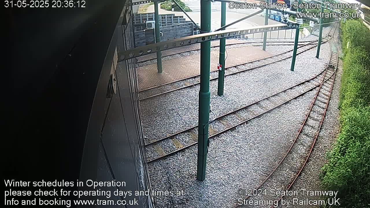 Tram tracks diverge at an outdoor station, bordered by vegetation, under what appears to be night or evening conditions.
