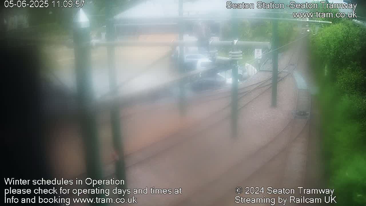A blurry, rain-soaked view of tram tracks and a station, partially obscured by foliage and poor visibility.