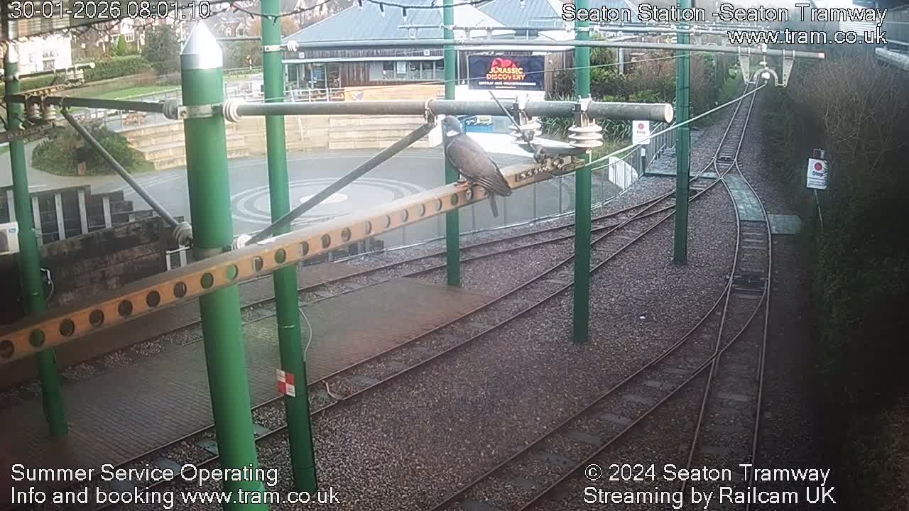 Seaton Tramway  Station Live Cam - East Devon, Devon, South West, England, United Kingdom
