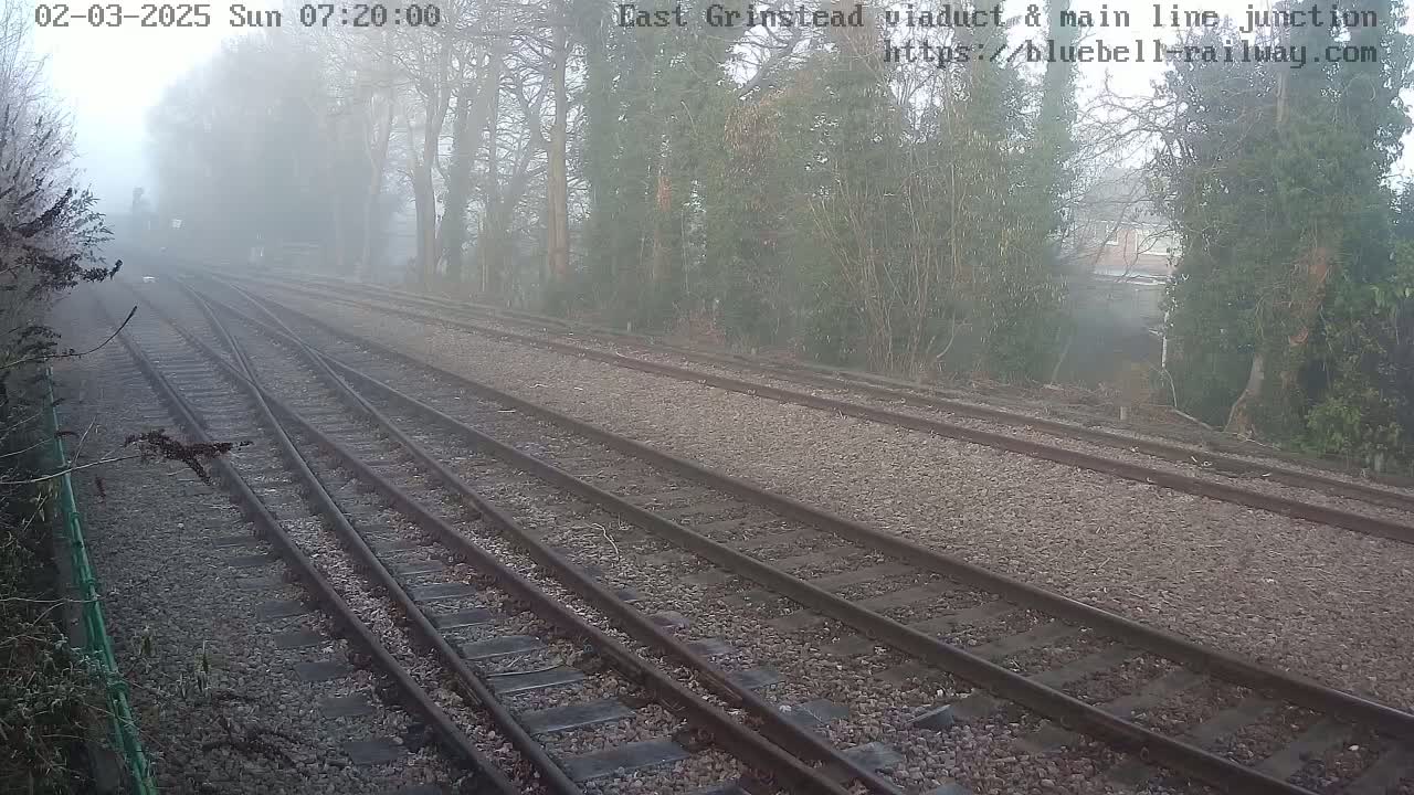 Multiple train tracks extend into a foggy landscape lined with trees.