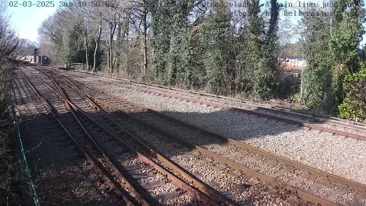 A sunny day reveals railway tracks splitting into two directions, bordered by trees and shrubs.