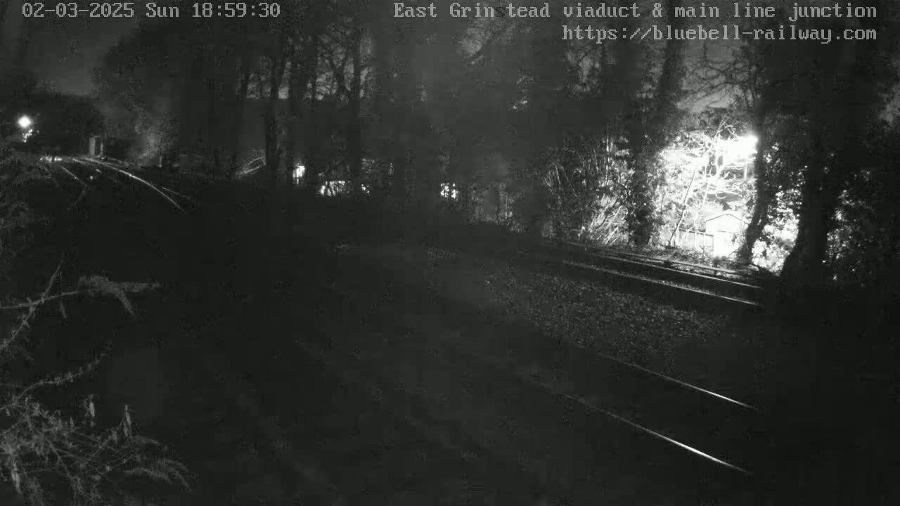 A nighttime view of railroad tracks cutting through a dark, wooded area under a dimly lit sky.
