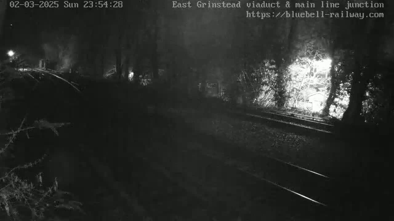 A nighttime, low-light view of train tracks disappearing into a dark, wooded area.