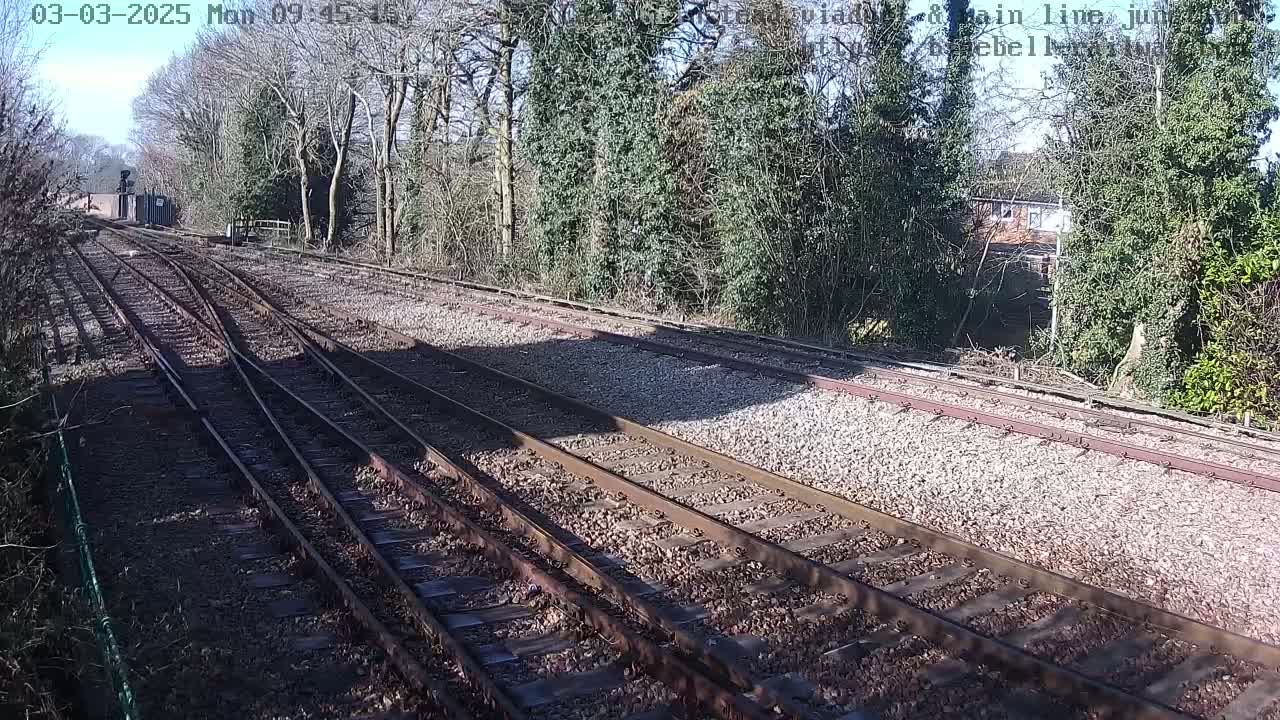 Several train tracks diverge in a sunny outdoor setting bordered by trees and a building in the distance.