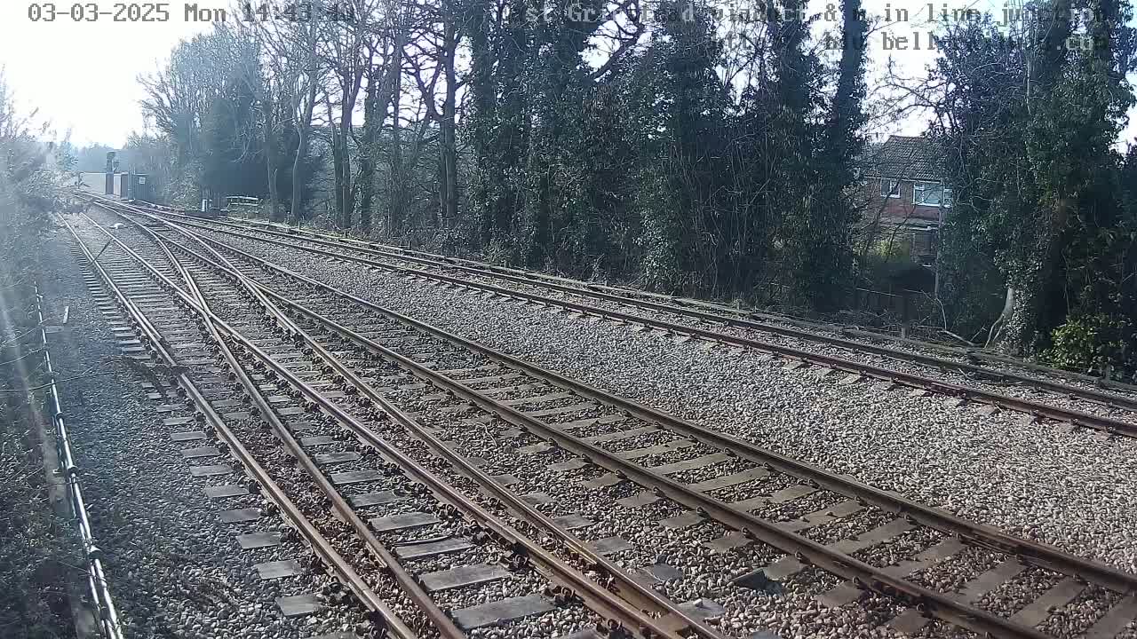 Multiple train tracks diverge through a wooded area on a sunny day.