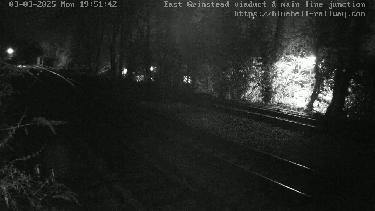 A nighttime view of train tracks surrounded by dark trees, illuminated by faint lights.