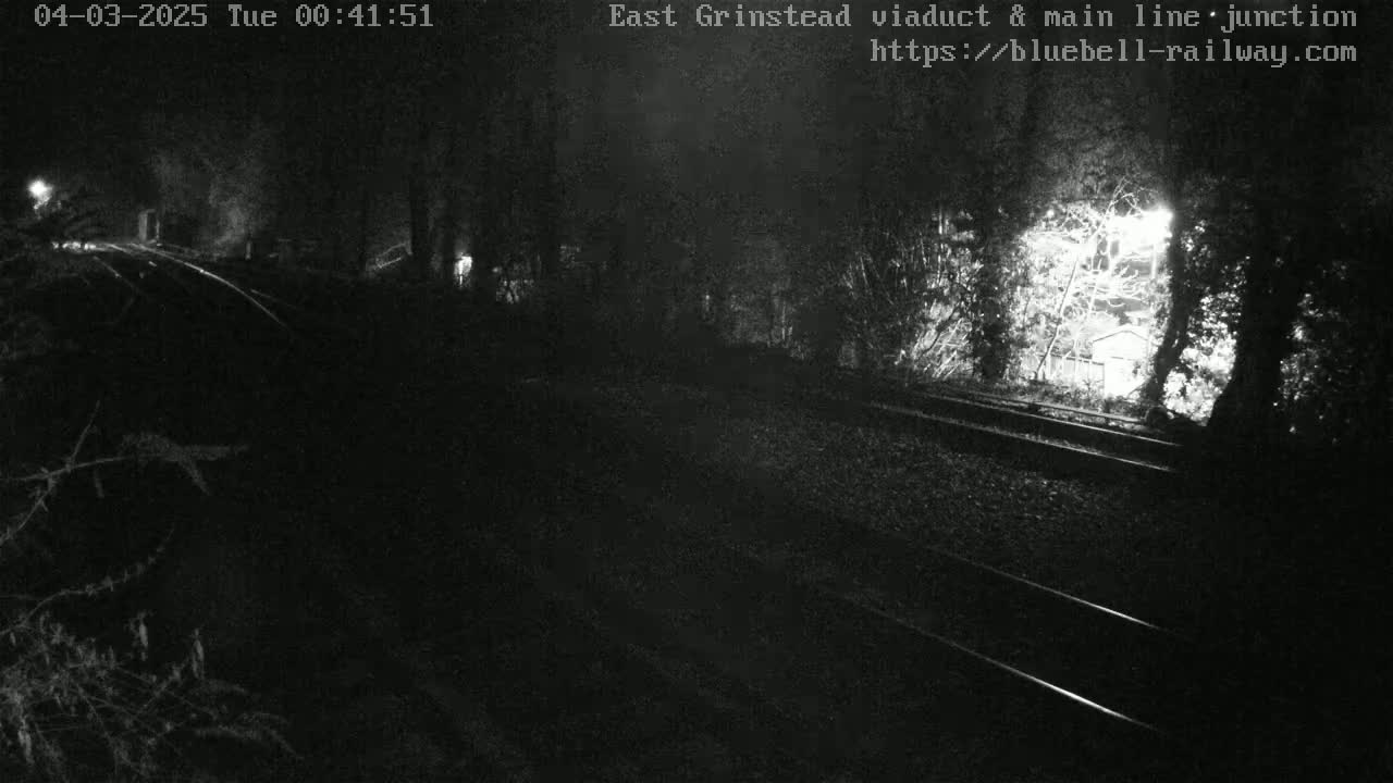 A nighttime, low-light view of train tracks bordered by trees and shrubs, with a faintly lit area visible in the background.