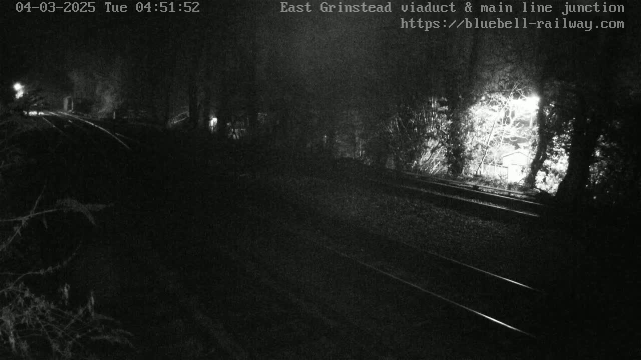 A nighttime, low-light view of train tracks surrounded by trees.