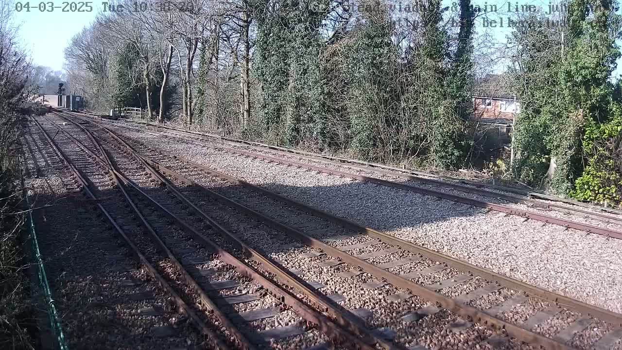 Multiple train tracks diverge through a sunny, leaf-covered landscape.