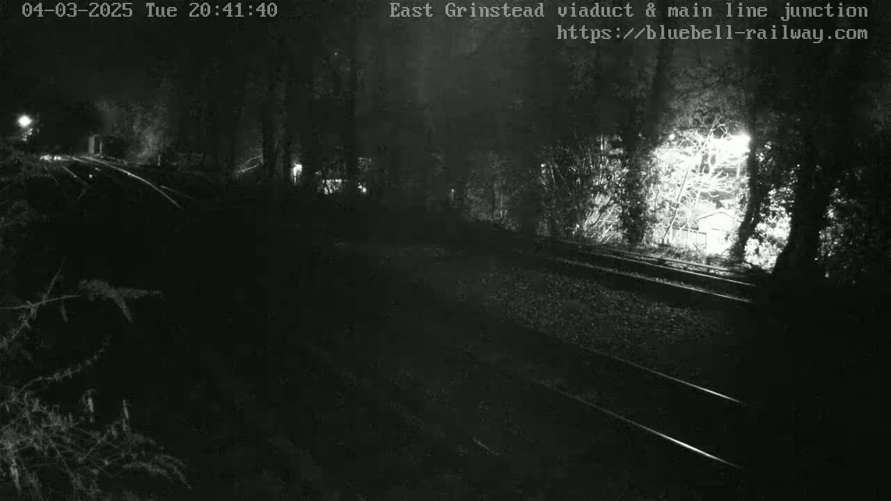 A nighttime, low-light view of train tracks winding through a wooded area.