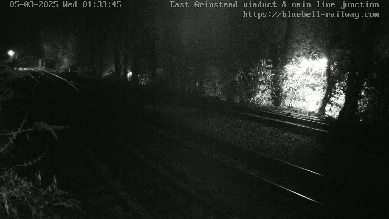 A nighttime, low-light view of train tracks extending into a wooded area, illuminated by a light source in the distance.