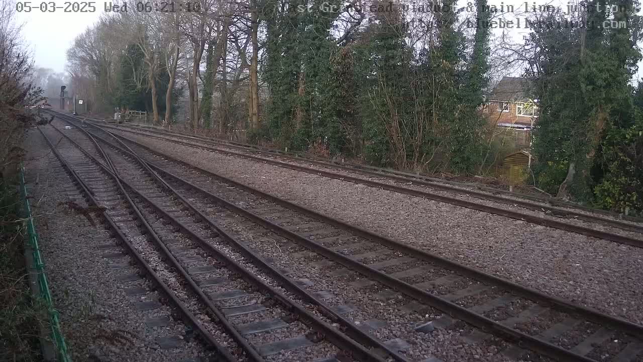 Multiple train tracks diverge through a wooded area on an overcast day.