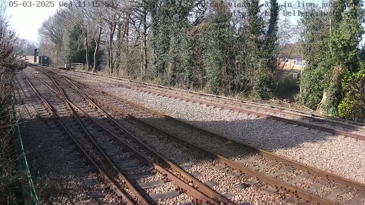 A sunny day view of several train tracks diverging from a single point, bordered by trees and shrubs.