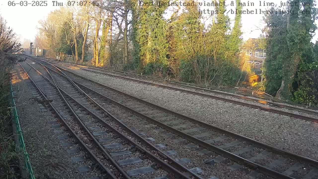 Multiple train tracks diverge through a sunny, wooded area.