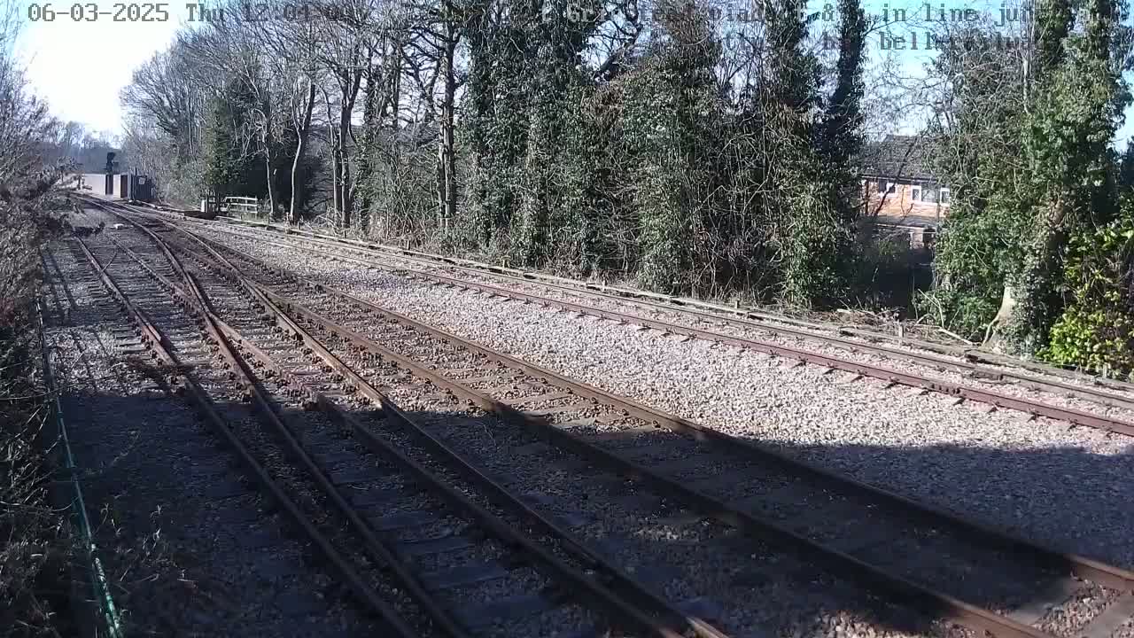 Multiple train tracks snake through a sunny landscape bordered by leafless trees and shrubs.