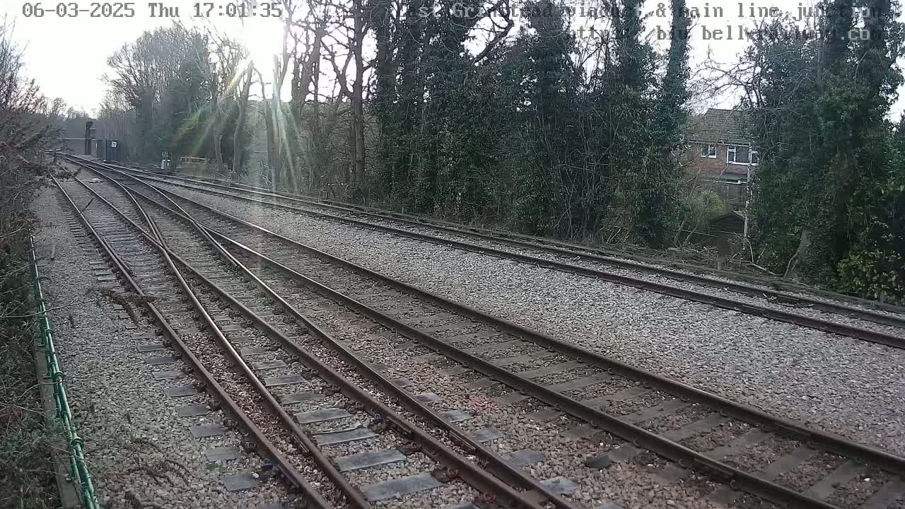Several sets of train tracks diverge from a central point, surrounded by trees and under a bright but overcast sky.
