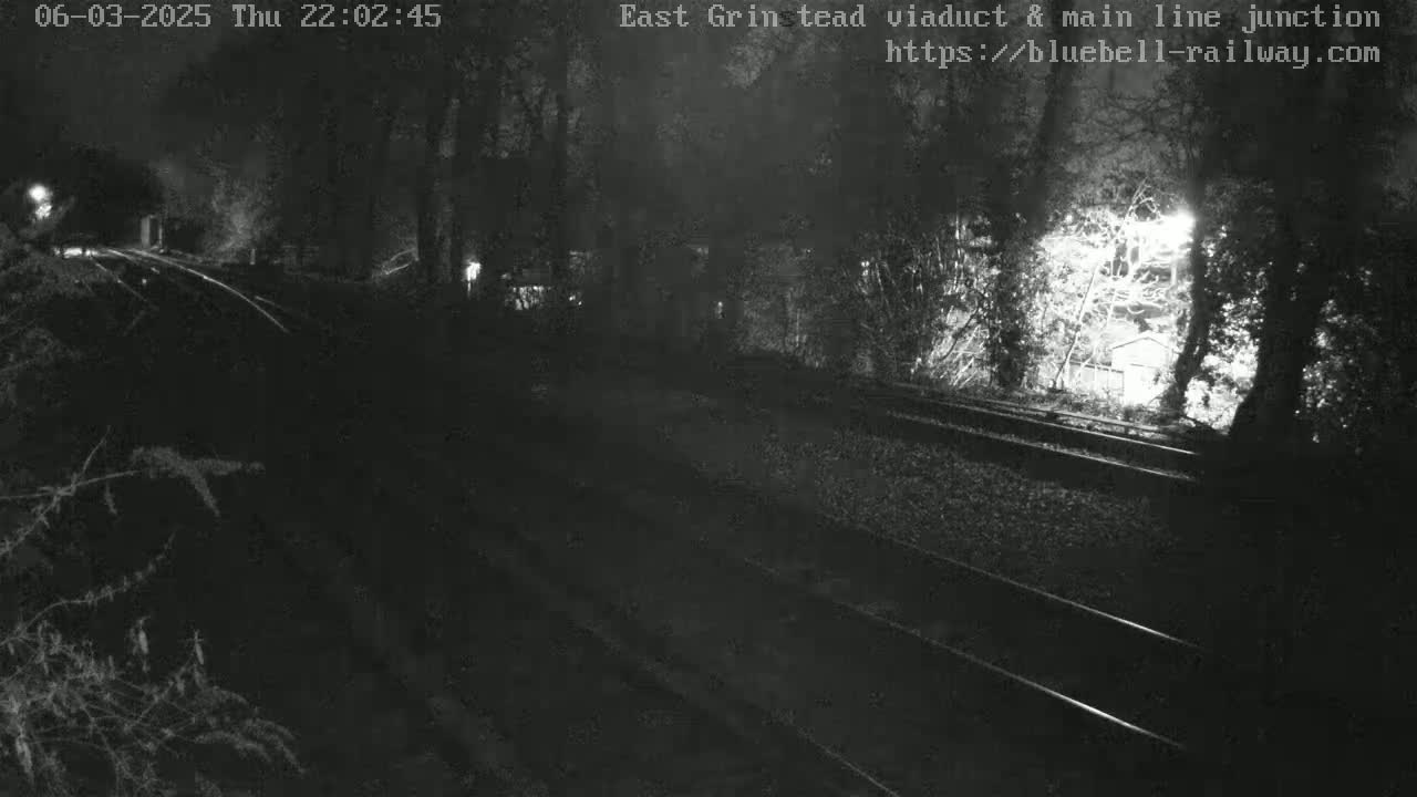 A nighttime view of train tracks that wind through a dark, wooded area, illuminated by a few lights.