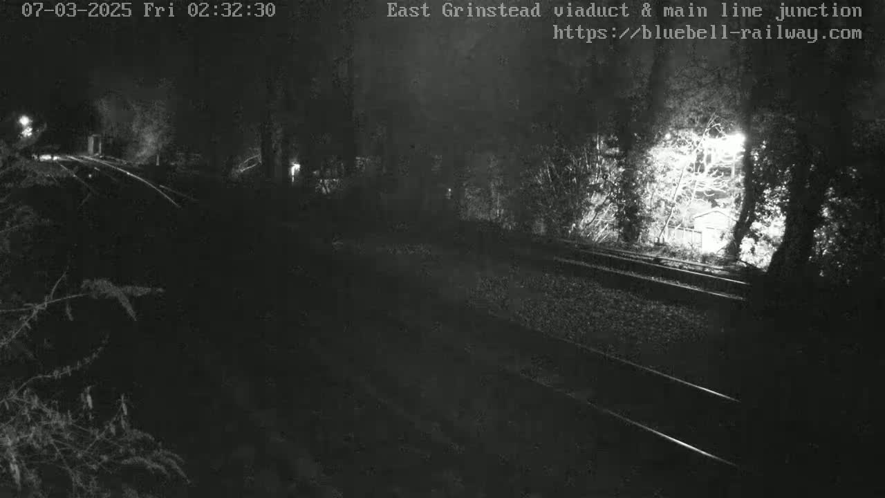 A nighttime, low-light view of railroad tracks running through a wooded area, with a small structure faintly visible in the background.