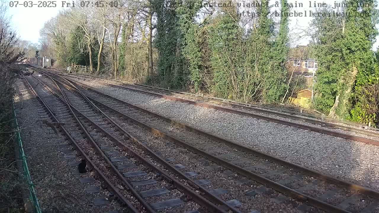 A sunny day at a railway junction, where multiple train tracks converge amidst trees and shrubs, with a house visible in the background.